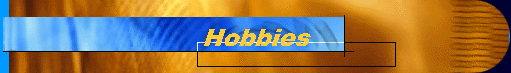  Hobbies 